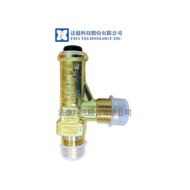 castel-safety-valves.png castel-safety-valves.png